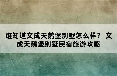 谁知道文成天鹅堡别墅怎么样？ 文成天鹅堡别墅民宿旅游攻略